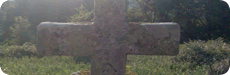 Figueirido