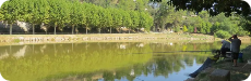 Navarcles