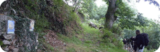 Peñaseita
