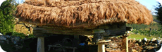 A Fontaneira
