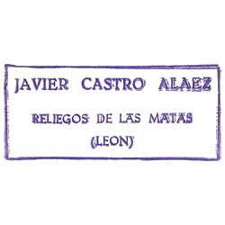 Javier Castro Aláez
